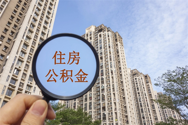 淄博深圳公积金（深圳公积金首页）
